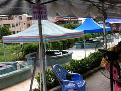 -小象钓虾·营地烧烤(洛溪店)