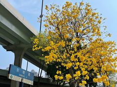 -85度C(广州东银广场店)