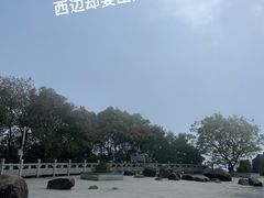 -阳台山森林公园