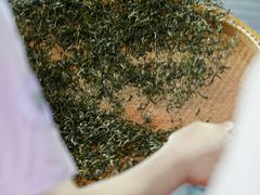 -宁波国际会展中心