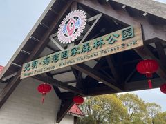 -上海海湾国家森林公园