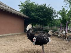 -祥源·阜阳生态乐园