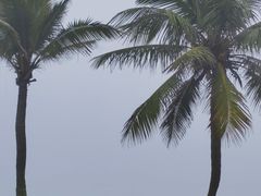 -西秀海滩公园