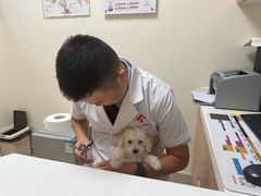 -全心全意连锁动物医院·特色中医诊疗(会城门分院)