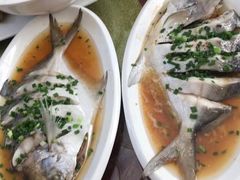 -上海怡沁园度假酒店