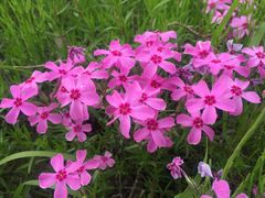 -长春公园(普阳街道)