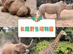 -广州长隆野生动物世界
