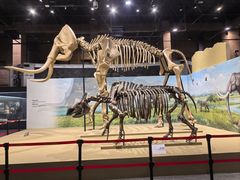 -国家自然博物馆