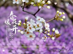 -江苏三台山国家森林公园