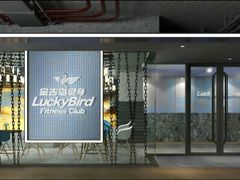 -金吉鸟健身游泳