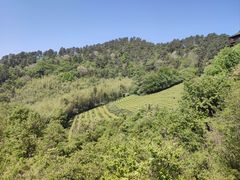 -敬亭山风景名胜区