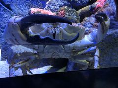 -新加坡海洋生态馆