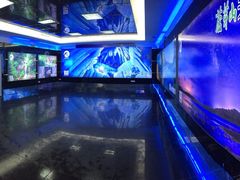 万年冰洞国家地质公园-芦芽山旅游度假区