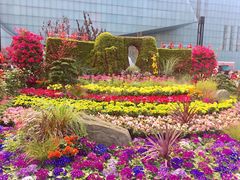 -重庆市江北嘴中央商务区中央公园