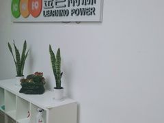 -金色雨林学习力培优(专注力提升)