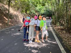 -大屏嶂森林公园