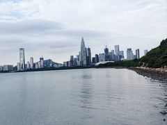 -深圳湾公园(南山区)