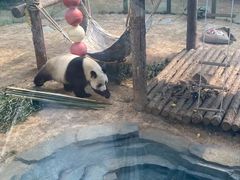 -大连森林动物园