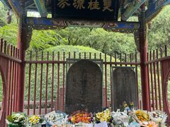 -武侯墓风景区
