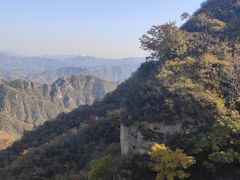 -大岭沟猕猴桃谷风景区
