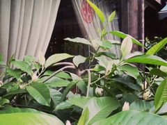 -白鹭原茶艺馆