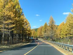 -塞罕坝国家级自然保护区