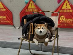 -绿壁虎攀岩基地(Tcar店)