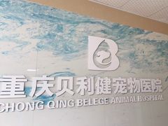 -宠颐生贝利健动物医院(谢家湾分院)