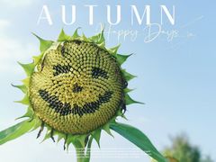 -花开海上生态园