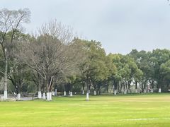 -上海吴淞炮台湾国家湿地公园