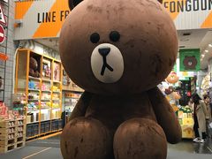 -line friends(明洞旗舰店)