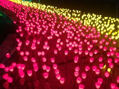 -长春公园(普阳街道)