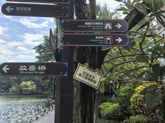 -荔湾湖公园