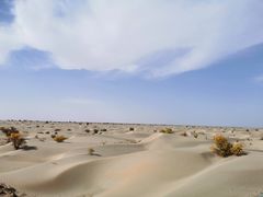 -三五九旅屯垦纪念馆