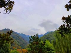 -长安文化生态公园