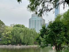 -团结湖公园