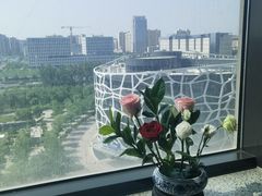 -首都医科大学附属北京天坛医院