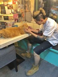 -上海刺客纹身