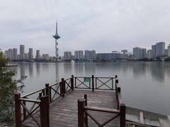 -聚龙湖公园