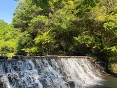 -石台牯牛降景区