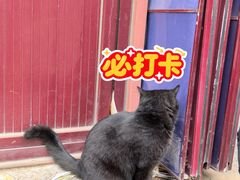 -北京市劳动人民文化宫(太庙)