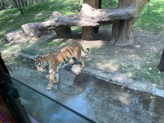 -北京野生动物园