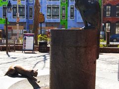 wKgBpVV-mR-ADVh3ACNHFCmaw-440-贝茜·罗斯故居