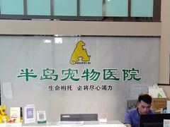 -半岛宠物医院24小时(科华中路店)