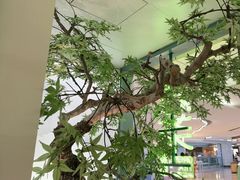 -绿茶餐厅(广州天河城店)