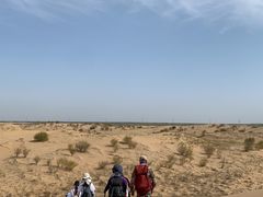 -恩格贝生态旅游区