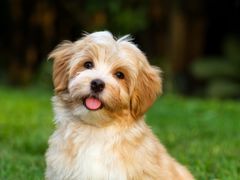 -星歌派对量贩KTV