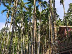 -七仙岭温泉国家森林公园