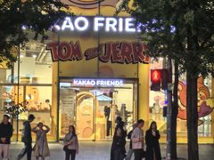 -KAKAO FRIENDS(弘大店)