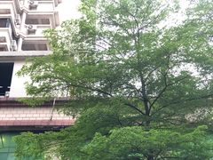 -天河体育中心